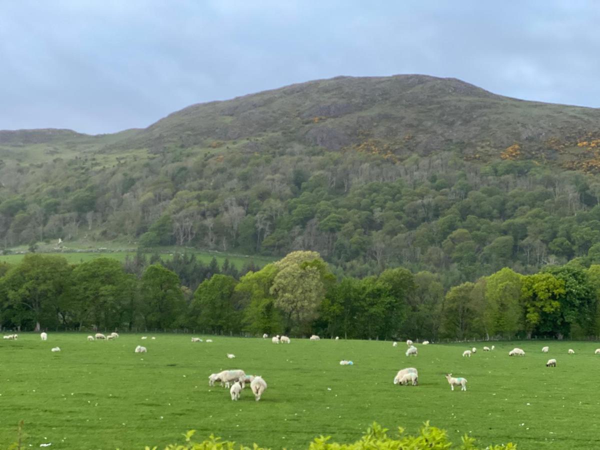 Tig Cottage - A Rural, Quirky, Pet Friendly 2 Bedroom Cottage Near Ballantrae Buitenkant foto