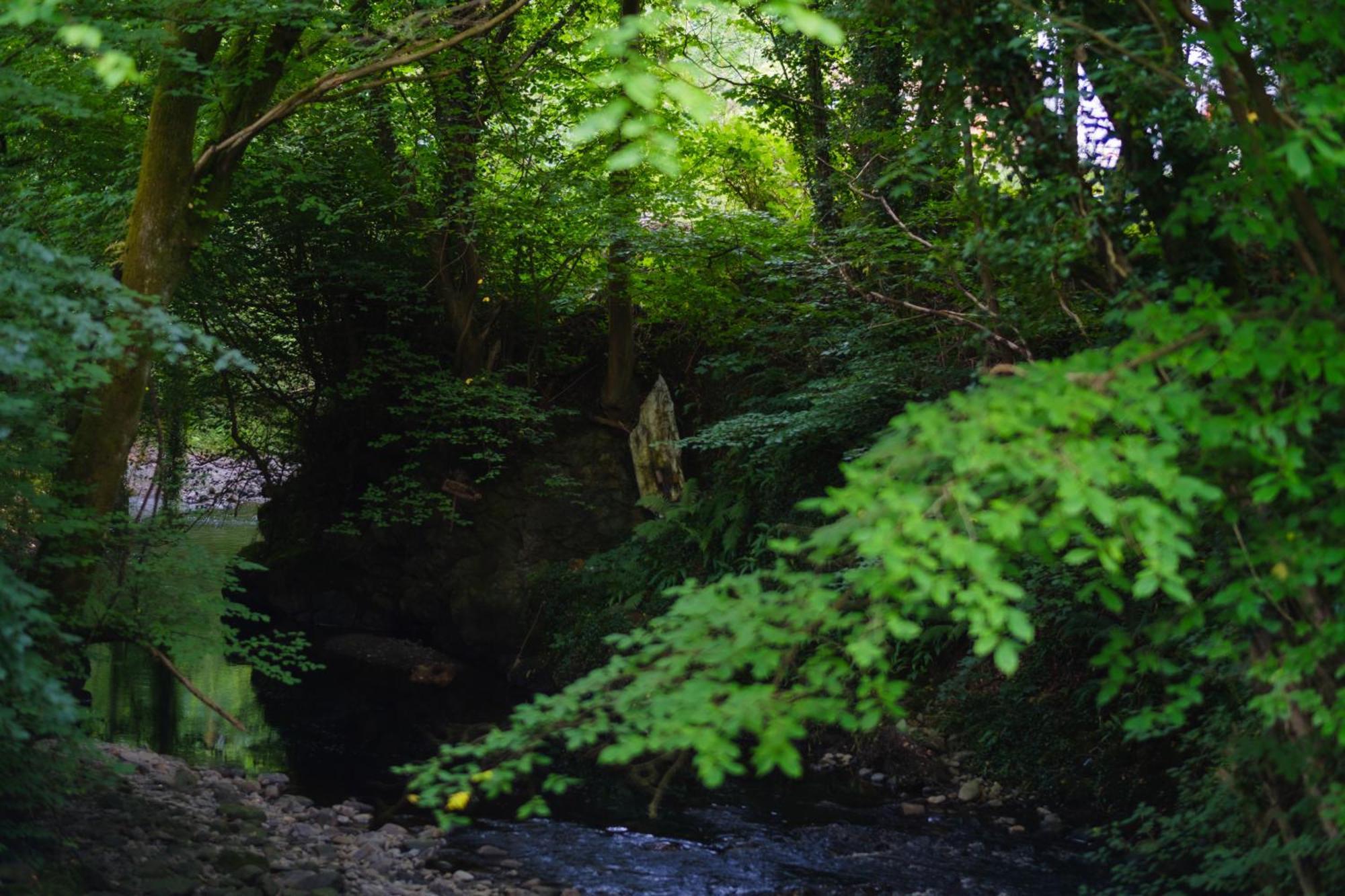 Tig Cottage - A Rural, Quirky, Pet Friendly 2 Bedroom Cottage Near Ballantrae Buitenkant foto