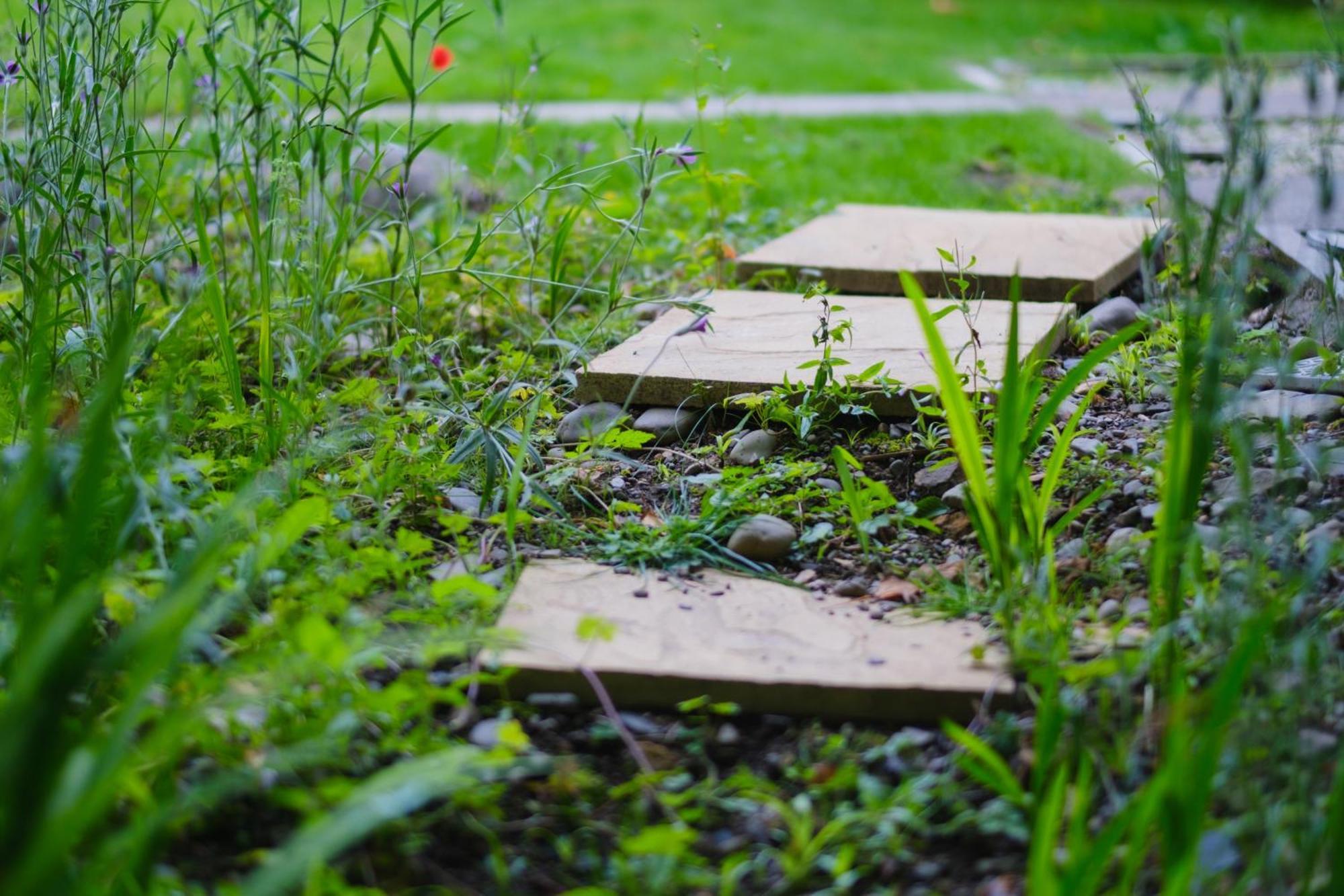 Tig Cottage - A Rural, Quirky, Pet Friendly 2 Bedroom Cottage Near Ballantrae Buitenkant foto