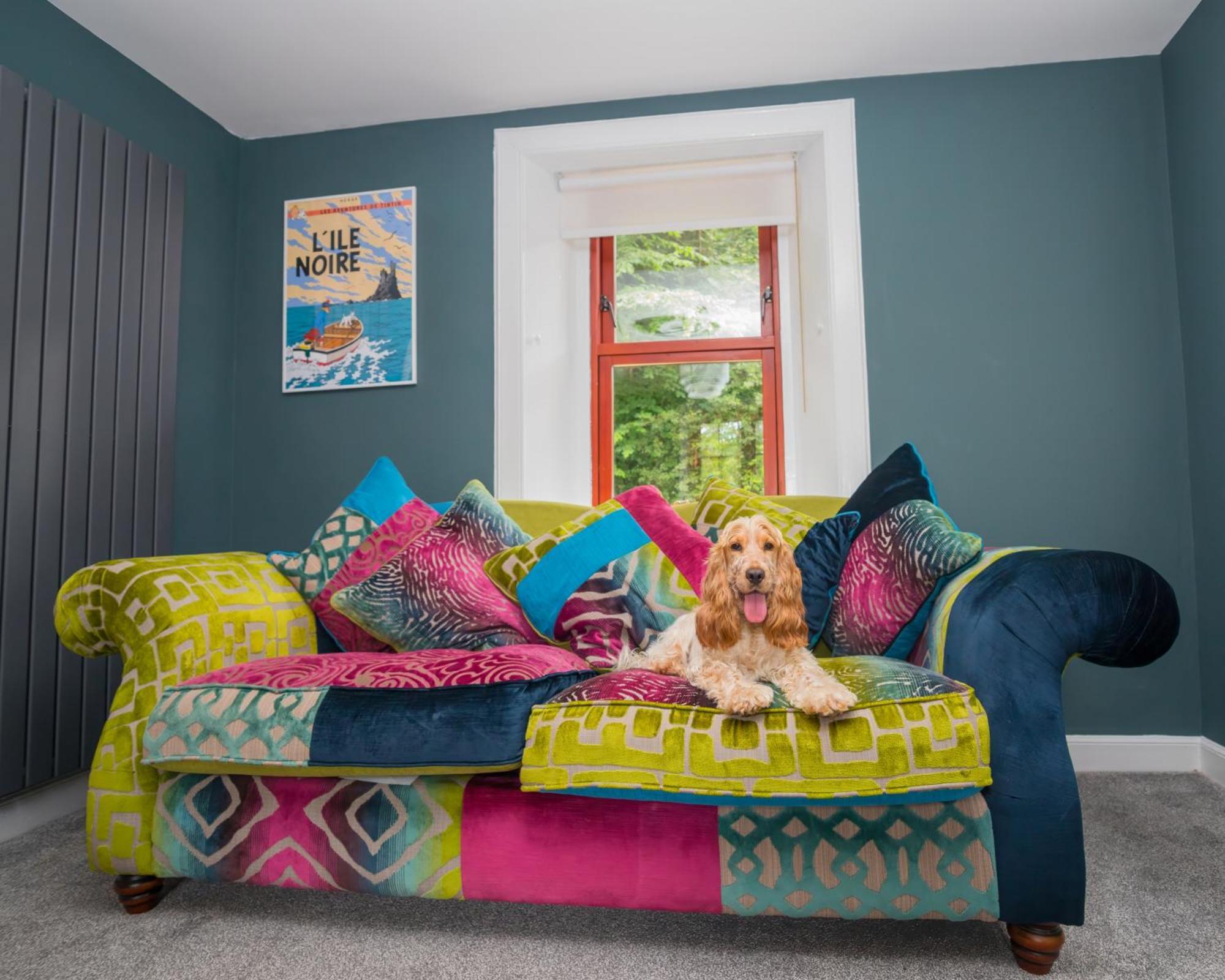 Tig Cottage - A Rural, Quirky, Pet Friendly 2 Bedroom Cottage Near Ballantrae Buitenkant foto