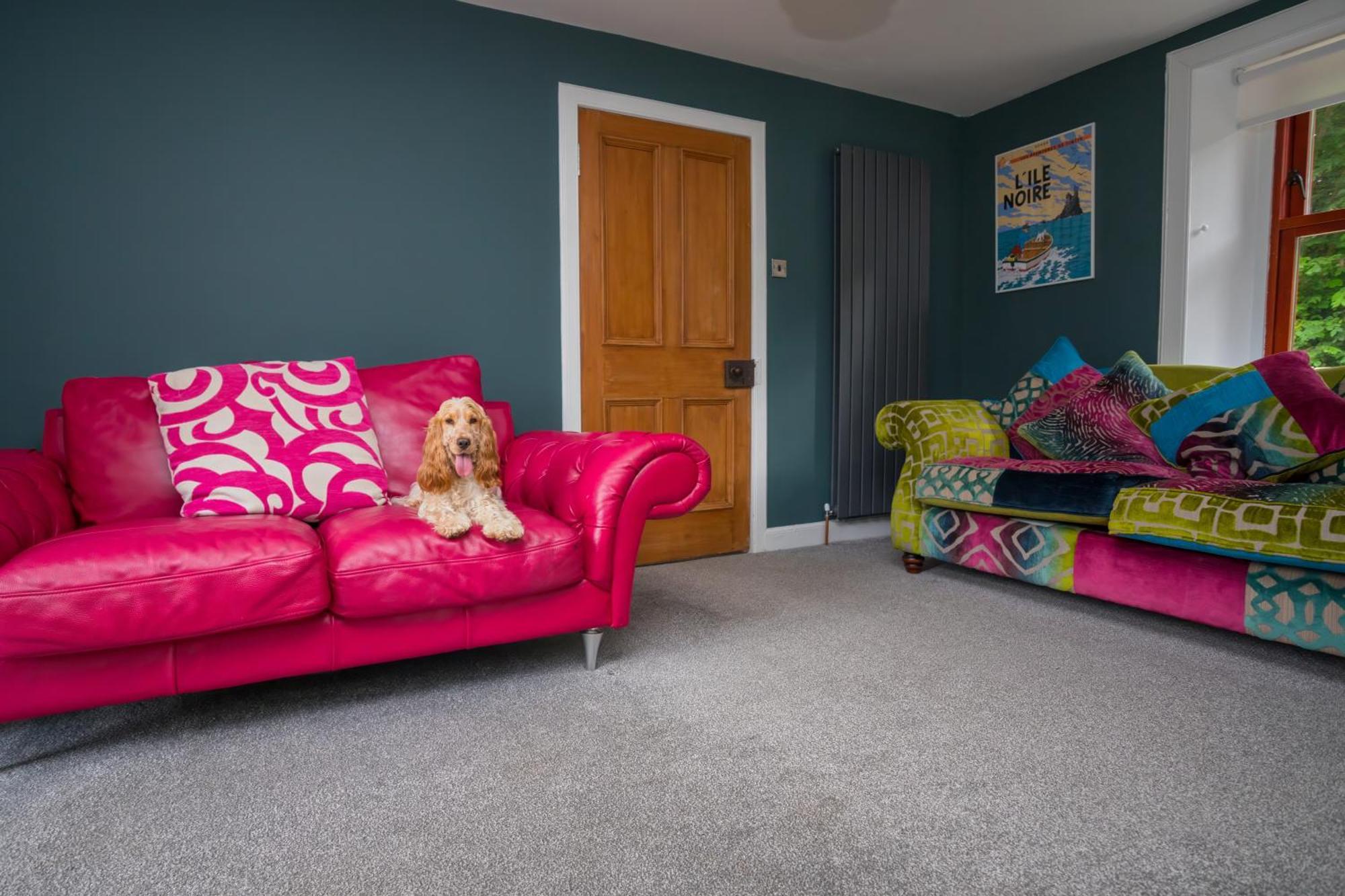 Tig Cottage - A Rural, Quirky, Pet Friendly 2 Bedroom Cottage Near Ballantrae Buitenkant foto