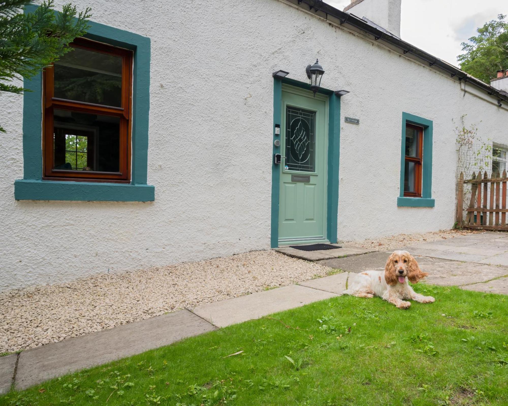 Tig Cottage - A Rural, Quirky, Pet Friendly 2 Bedroom Cottage Near Ballantrae Buitenkant foto